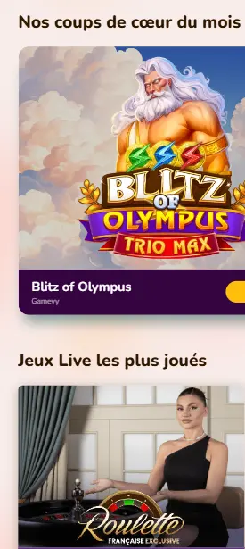 Fonctionnalités principales de WILDSULTAN
