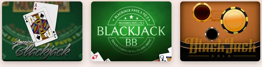 Qu’est-ce que le Club VIP WILDSULTAN